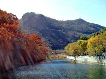 龙湾写意二期最新动态，未来居住新篇章揭晓