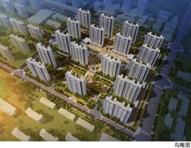 青岛市棚改最新动态，推动城市更新，提升民生福祉