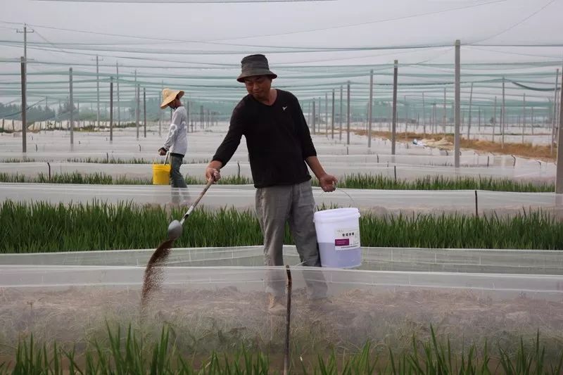凤阳县最新招聘动态深度解析报告