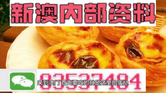 2024新澳门精准资料大全—欢迎|精选解释解析落实