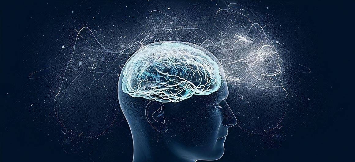 简报 第61页