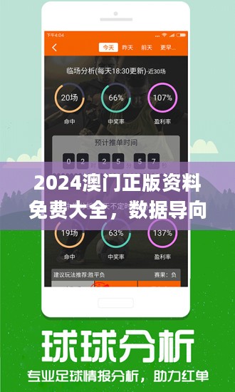 新澳2024年开奖记录，全面解答解释落实_V版58.17.40