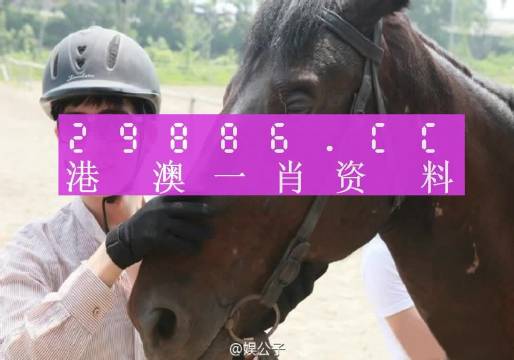 澳门最准一肖一码一码配套成龙，重点解答解释落实_GM版69.76.78